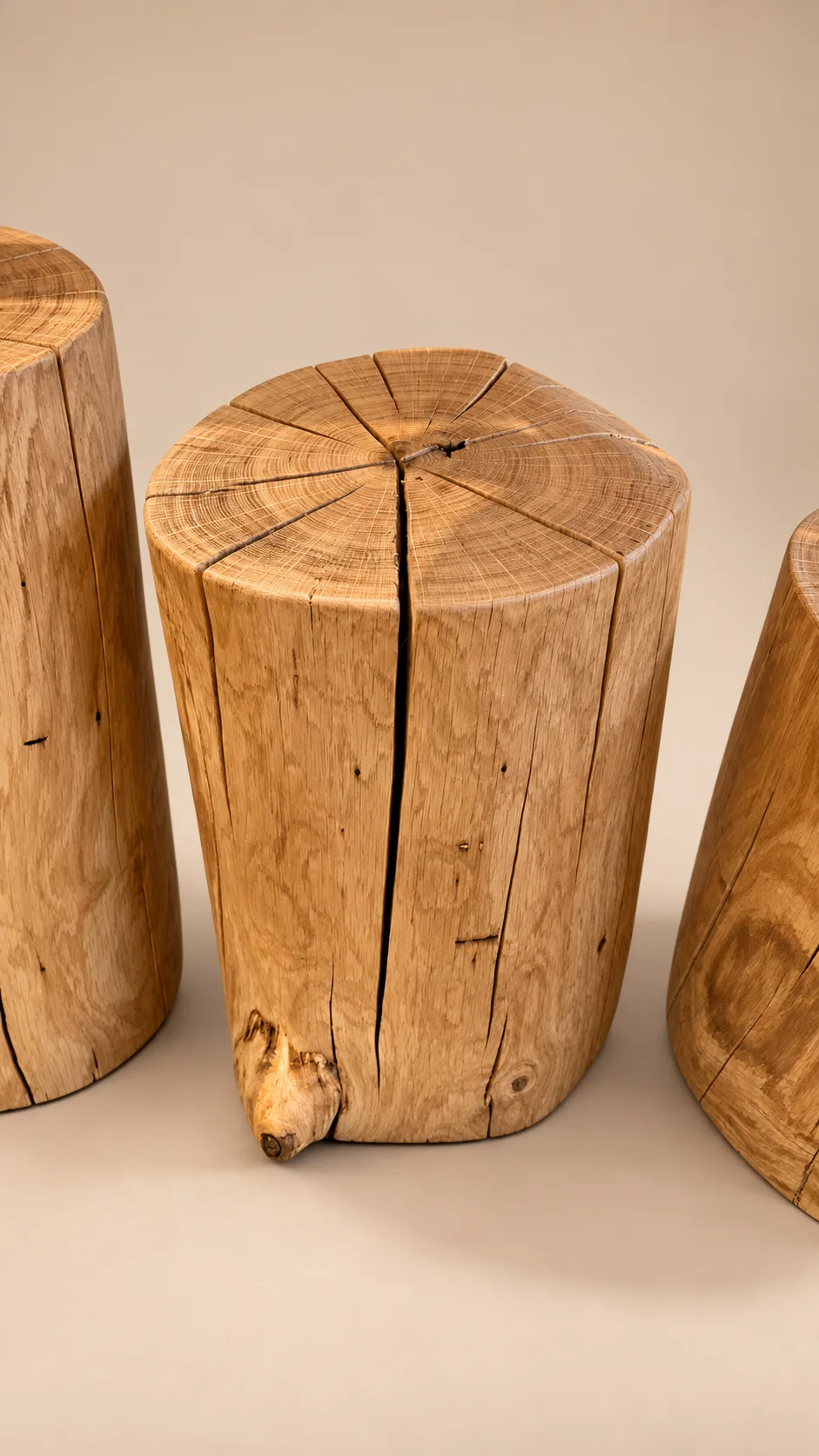 Trio, Detail der Eiche