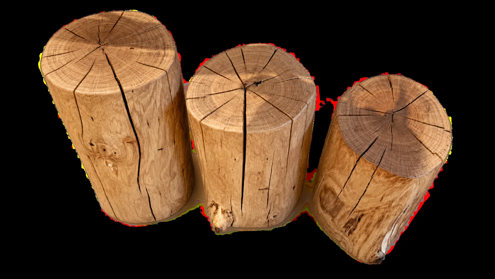 Trio aus Zürcher Eiche, Studioansicht